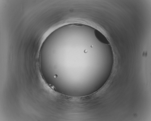 X0000112851536200908211019