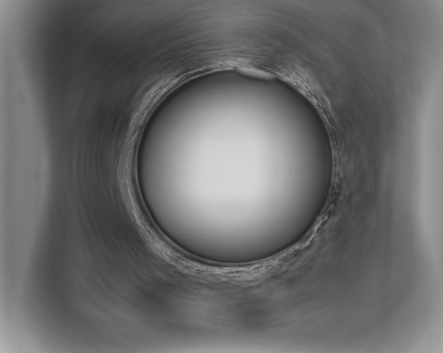 X0000112850001200908211310