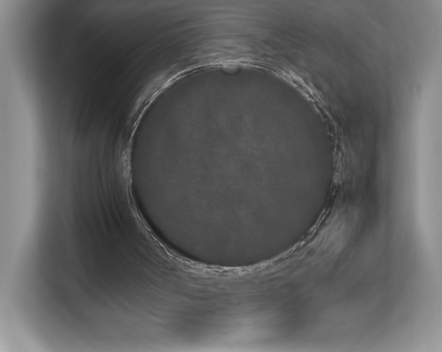 X0000112850002200908211310