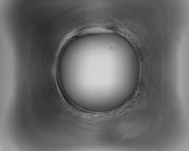 X0000112850003200908211310