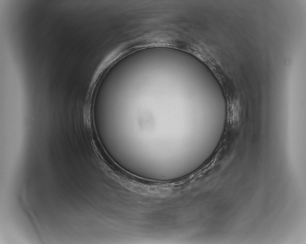 X0000112850004200908211310