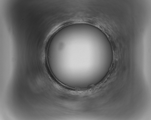 X0000112850005200908211310