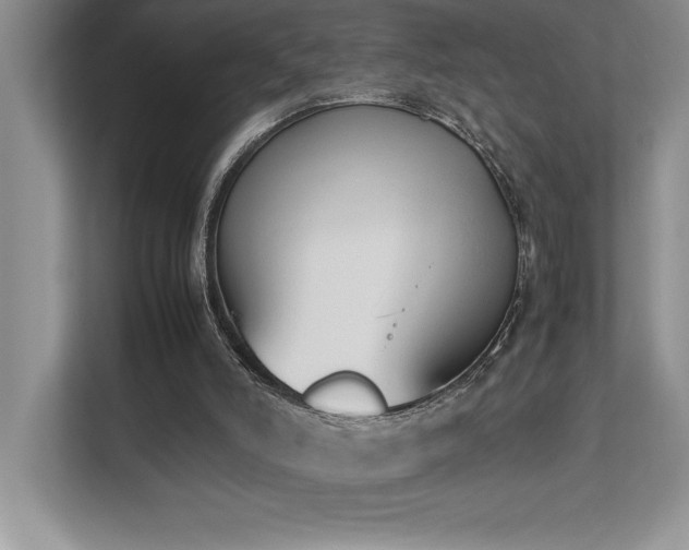 X0000112850006200908211310