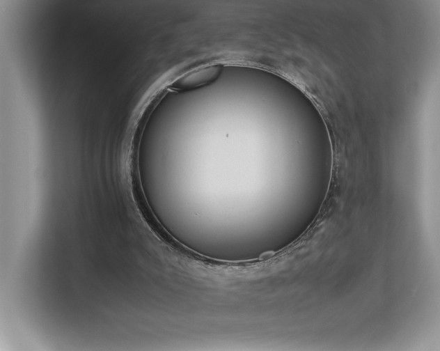 X0000112850007200908211310