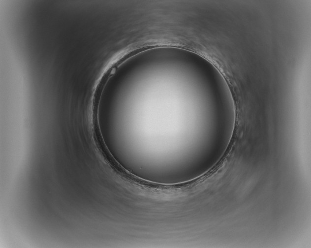 X0000112850008200908211310