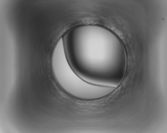 X0000112850009200908211310