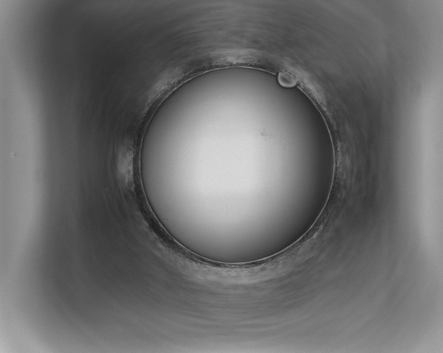 X0000112850010200908211310