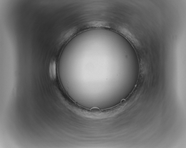 X0000112850014200908211310