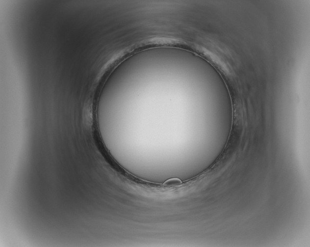 X0000112850015200908211310