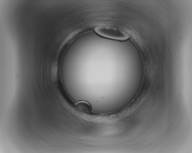 X0000112850016200908211310