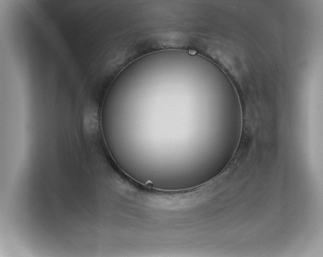 X0000112850017200908211310