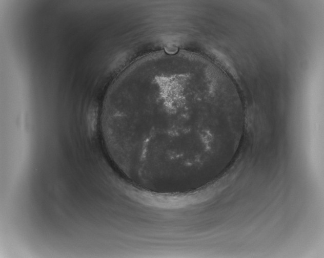 X0000112850018200908211310