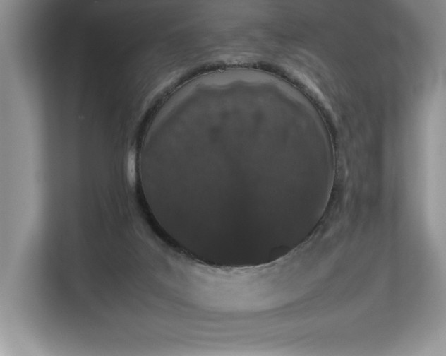 X0000112850019200908211310