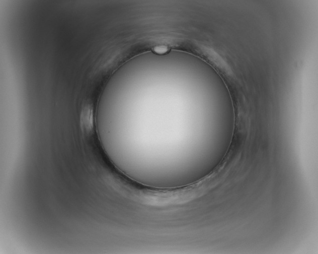 X0000112850021200908211310