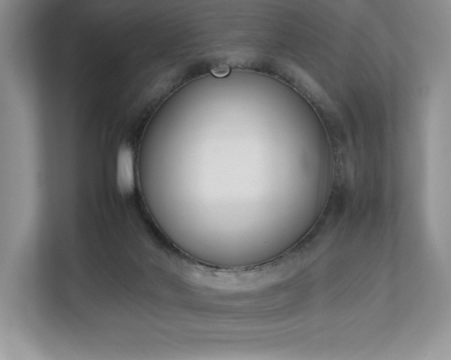 X0000112850022200908211310