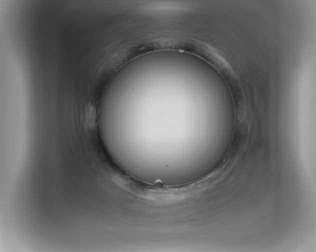 X0000112850025200908211309