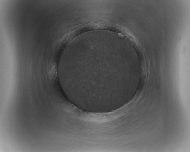 X0000112850029200908211309
