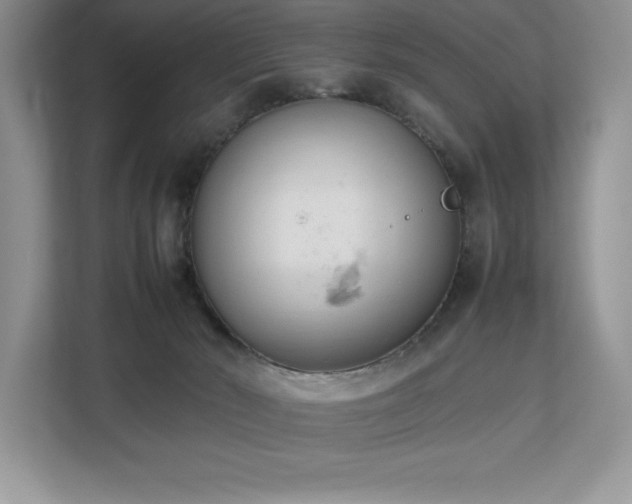 X0000112850030200908211309