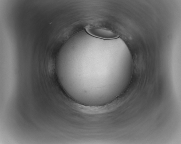 X0000112850034200908211309