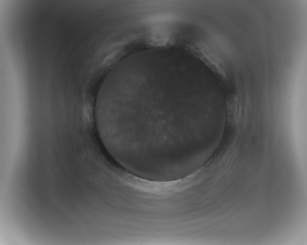 X0000112850035200908211309