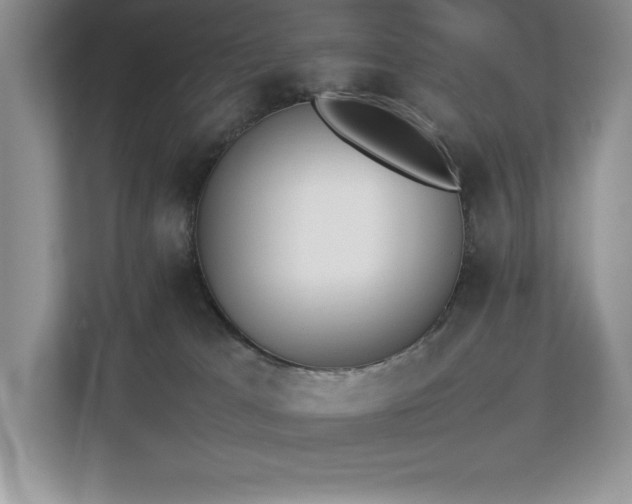 X0000112850037200908211309