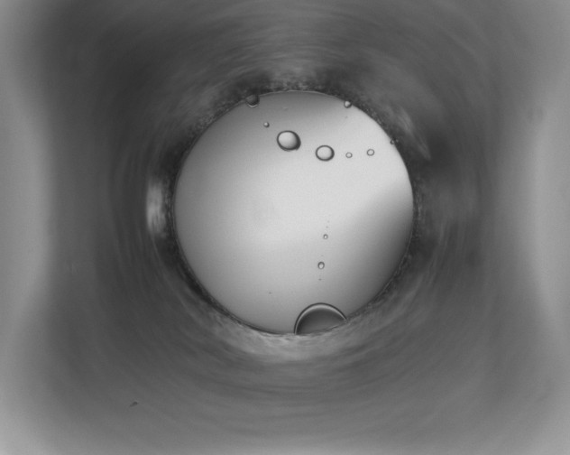 X0000112850038200908211309
