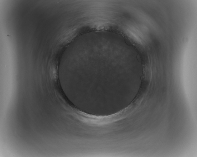 X0000112850039200908211309