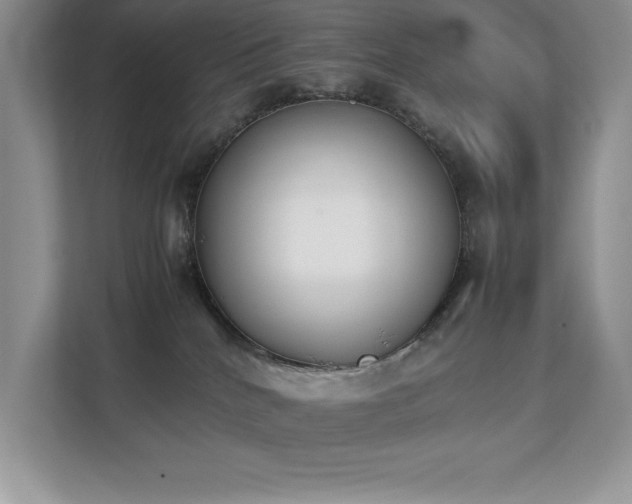 X0000112850040200908211309