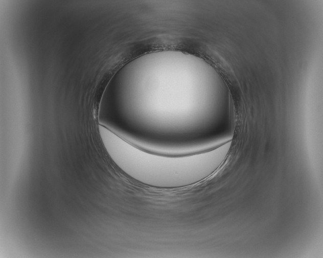 X0000112850045200908211309