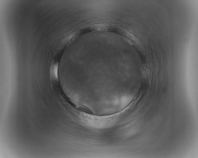 X0000112850047200908211309