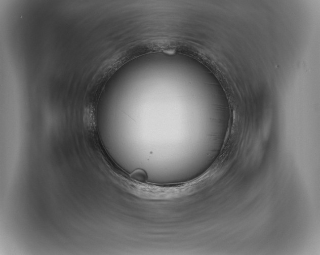 X0000112850048200908211309