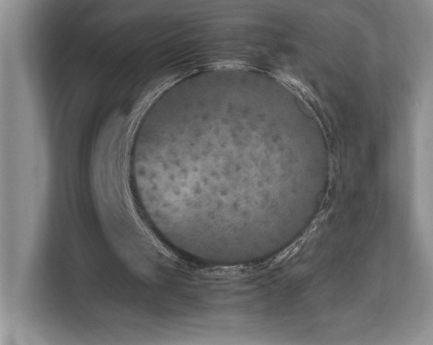 X0000112850049200908211309