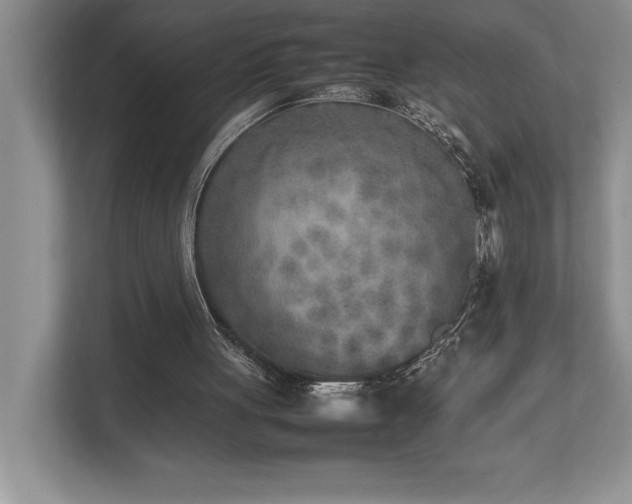 X0000112850051200908211309