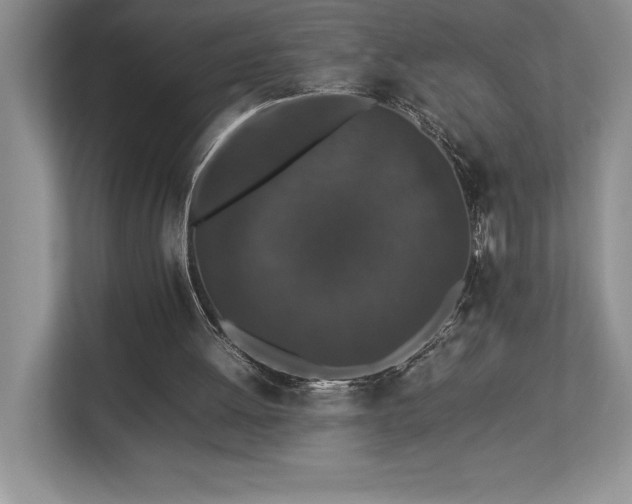 X0000112850052200908211309
