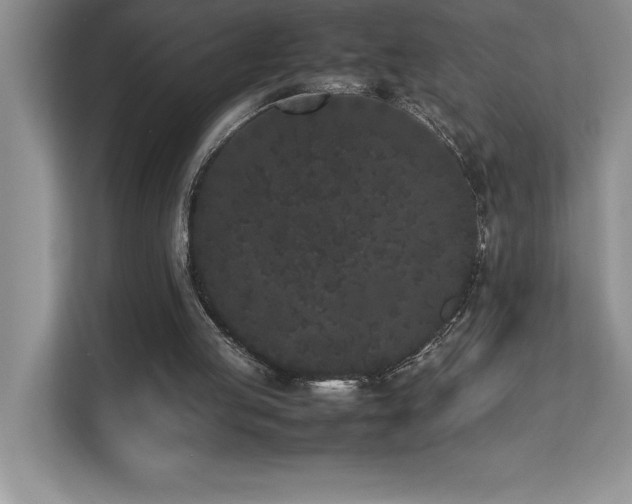 X0000112850053200908211309