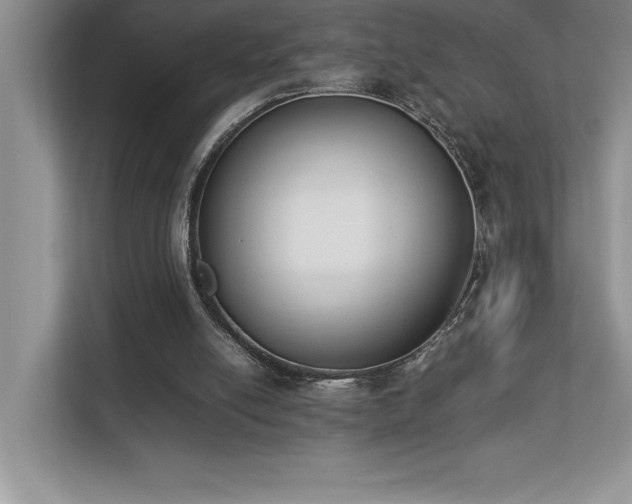 X0000112850054200908211309