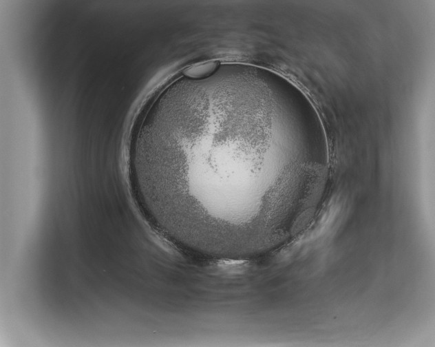X0000112850055200908211309