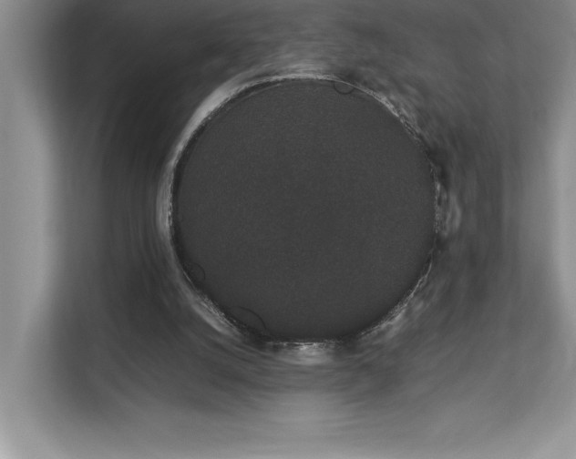 X0000112850056200908211309
