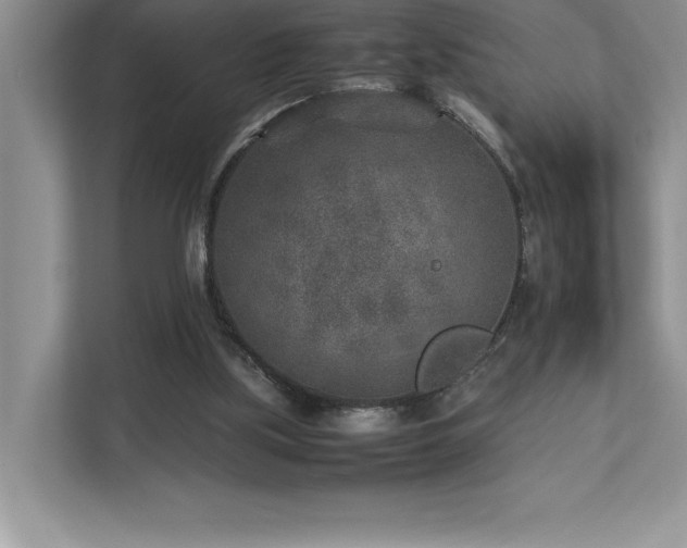 X0000112850059200908211309