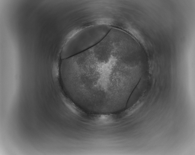 X0000112850060200908211309
