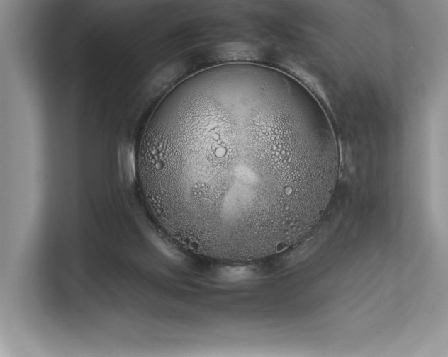 X0000112850061200908211309