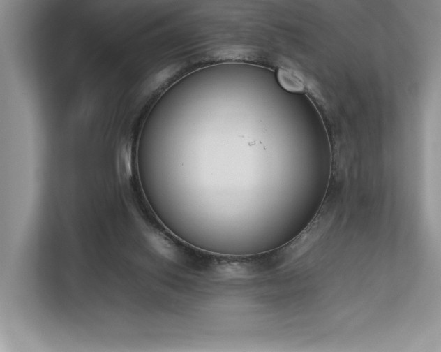 X0000112850062200908211309