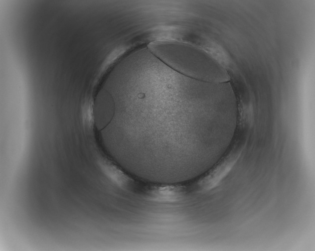 X0000112850064200908211309
