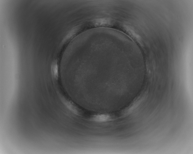 X0000112850067200908211309