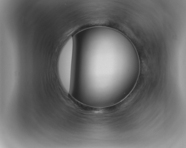 X0000112850068200908211309