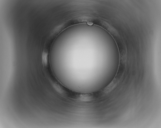 X0000112850070200908211309