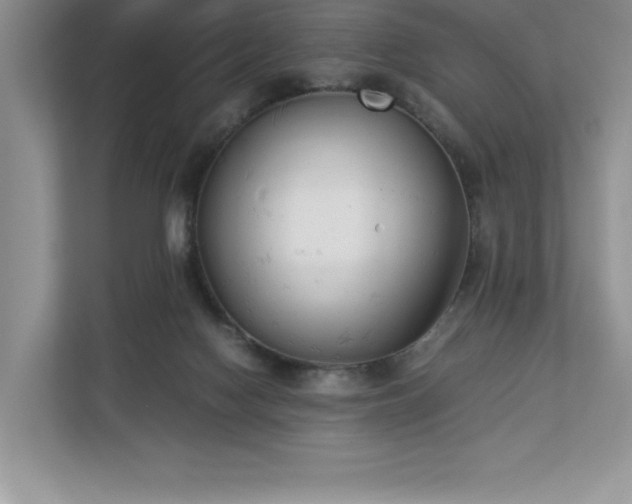 X0000112850074200908211309