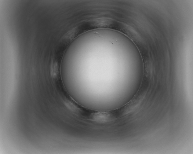X0000112850077200908211309