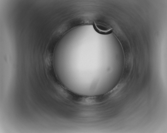 X0000112850078200908211309