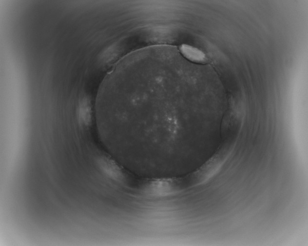 X0000112850080200908211309